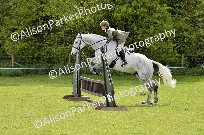 20260426-3669 - Class 22 - Working Hunter
