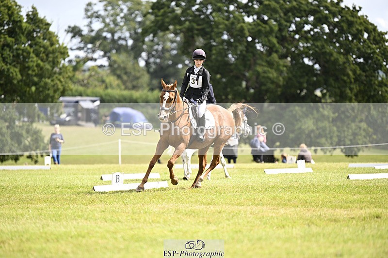 240824X-120913-26230 - D80 Section E and F 12.00 to 13.20