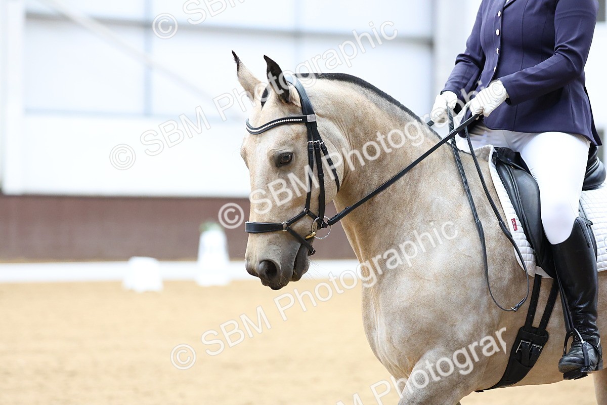 SBM_017129 - Class 16 - Novice FSM - 13.02-13.58