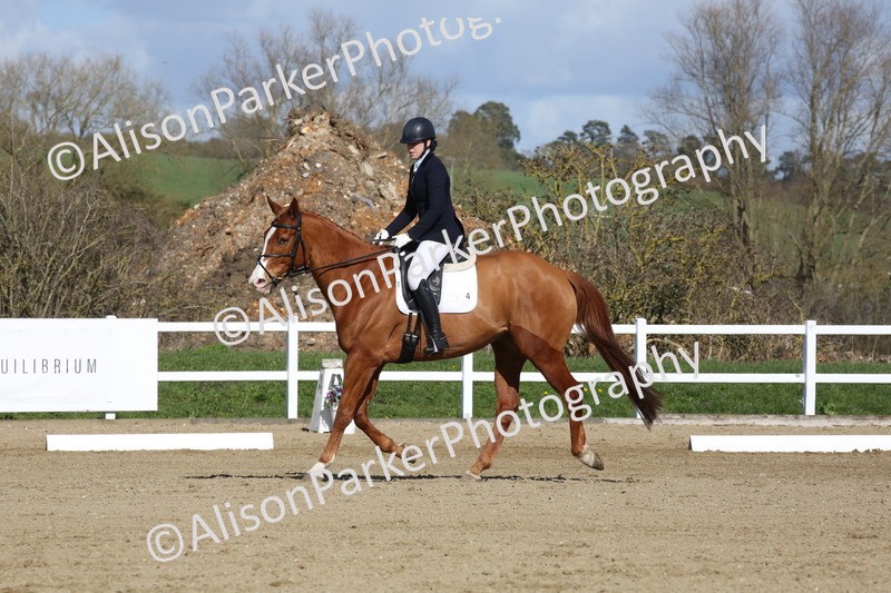 20260314-4127 - CT4 - Novice 1