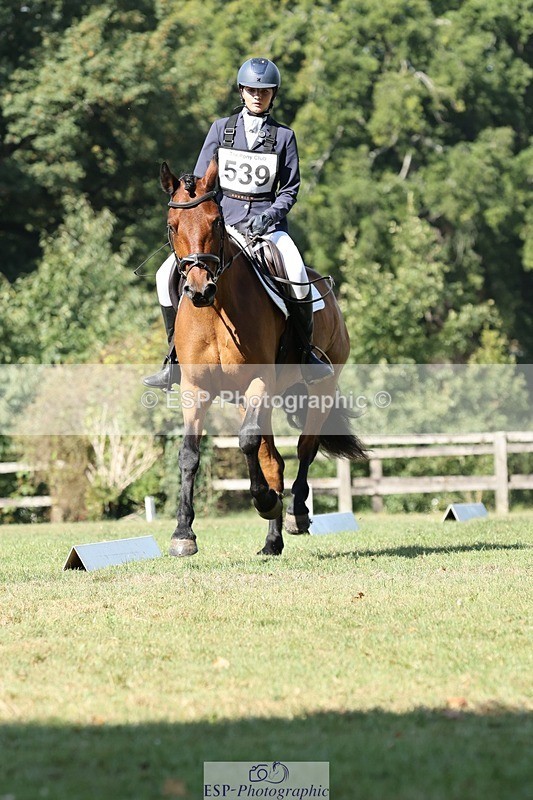 250823A-105248-27833 - Arena D