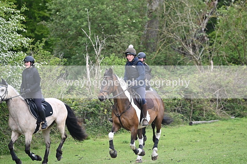 WJ6_2821 - A Camera