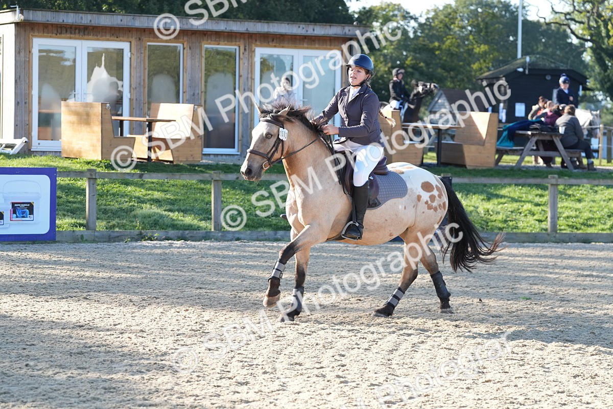 SBM_34463 - J62 - Clear Round 50cm