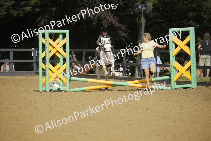 20250622-1392 - 40cm