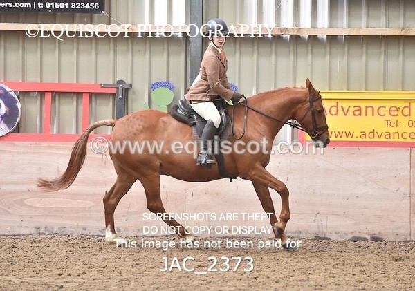 JAC_2373 - CLASS 3 Intermediate Working Hunter