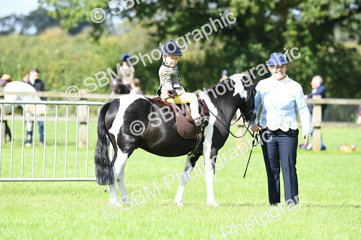 SBM_41167 - S19 - Lead Rein Show & Show Hunter Pony