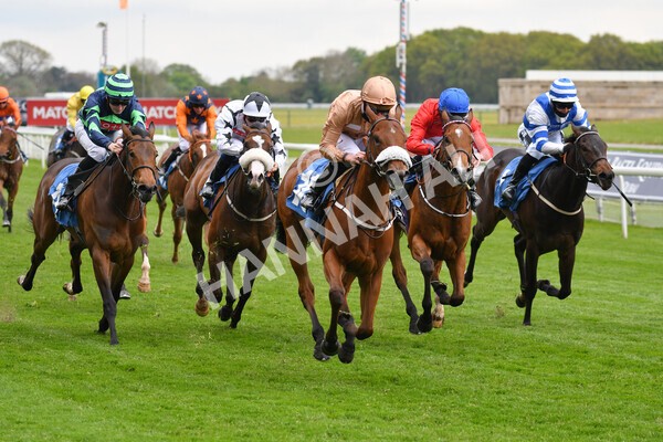 yr14052021r1-19 - Race 1 1.40pm Langleys Solicitors British EBF Marygate Fillies' Stakes