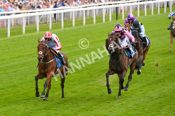yr11062022r2-64 - Race 2 2.00pm Queen Mother's Cup