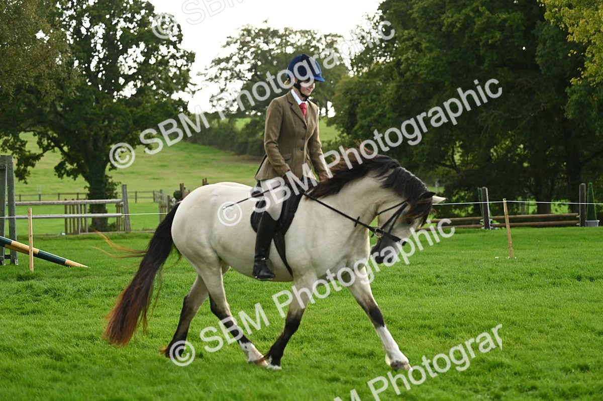SBM_26609 - S7 - Novice & Newcomer Ridden Pony