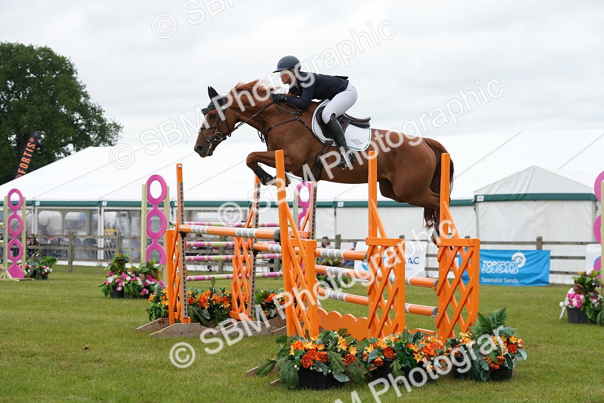SBM_03233 - Class 201 - British Horse Feeds Speedi Beet Horse of the Year Show Grade  C