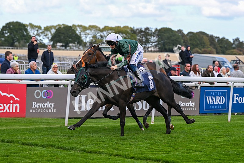 230925-Race 3-Beerwah-0480 - Race 3