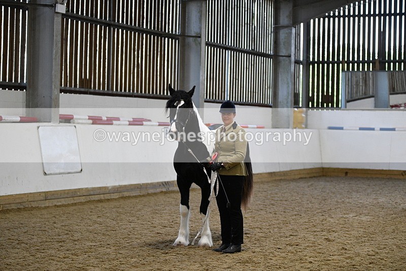 WJ5_5141 - Class 7 In hand coloured / odd coloured