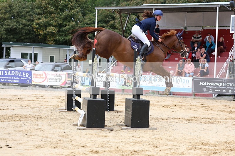 3E7A3368 - Class 9: Senior Foxhunter/1.20 open