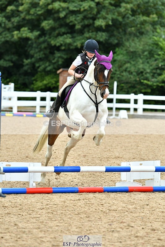 230804A-121646-02486 - Showjumping Competition