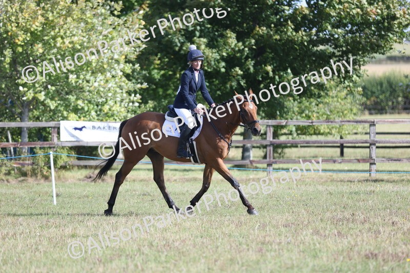 20250831-0886 - Class 14 - Ex Racehorse