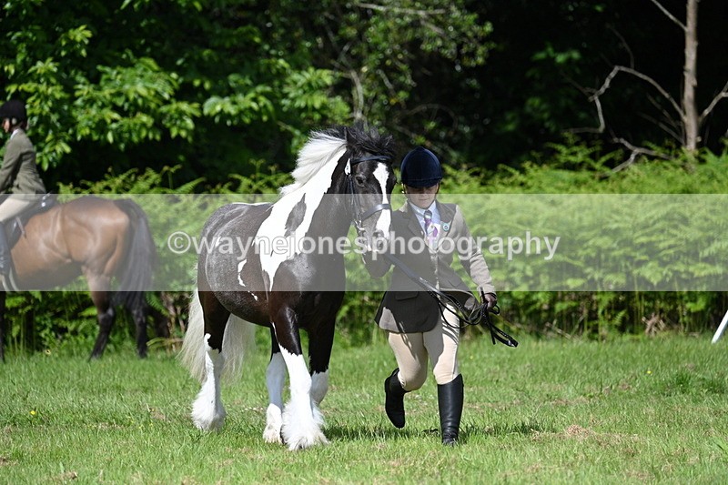 WJ7_1173 - Class 11 Condition & Turnout