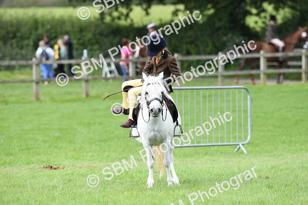 SBM_46814 - S12 - Family Horse & Pony
