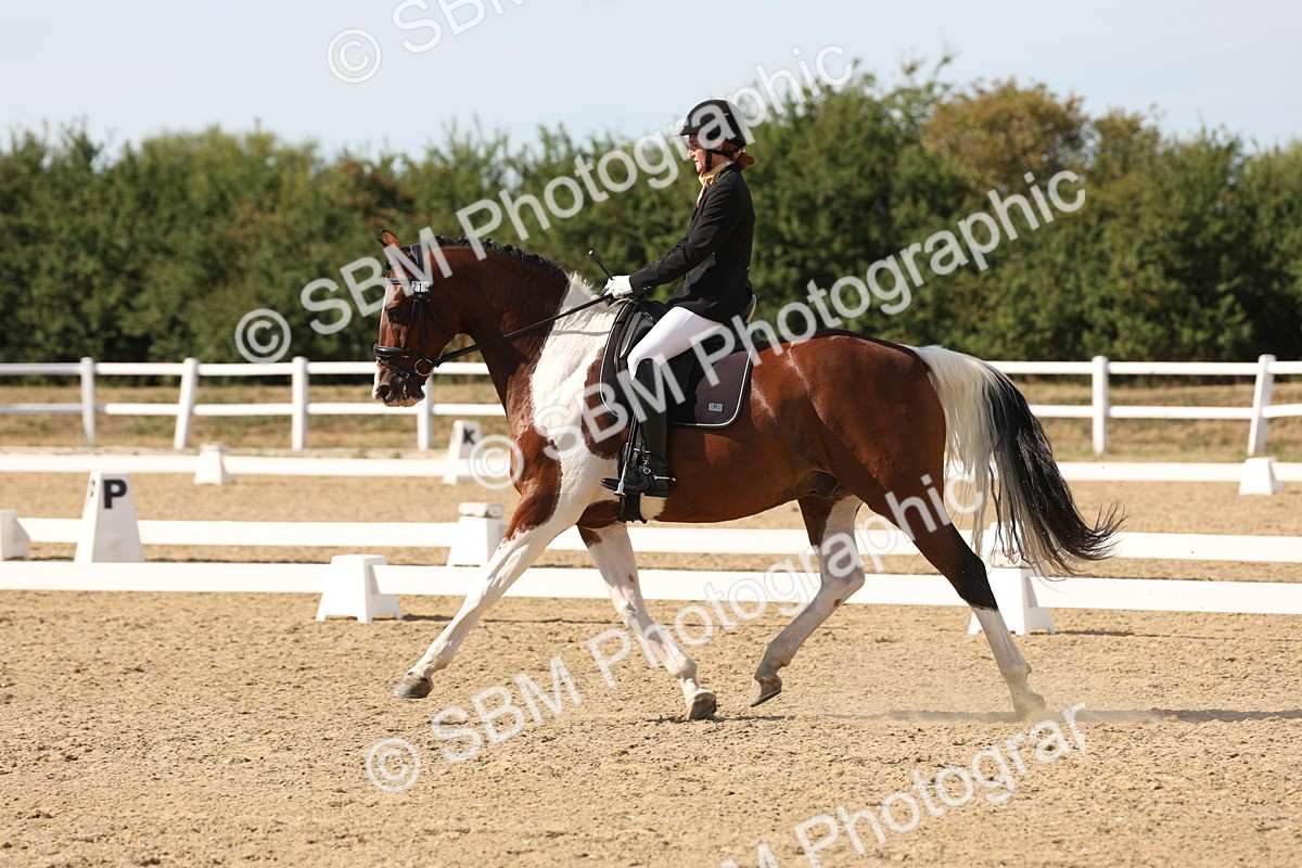 SBM_003864 - Elementary 4