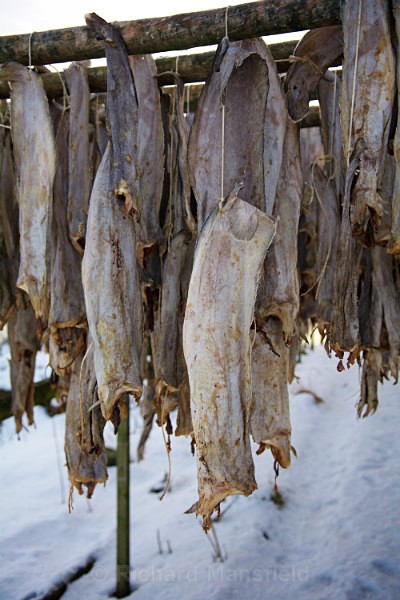 Dried Cod - Norway
