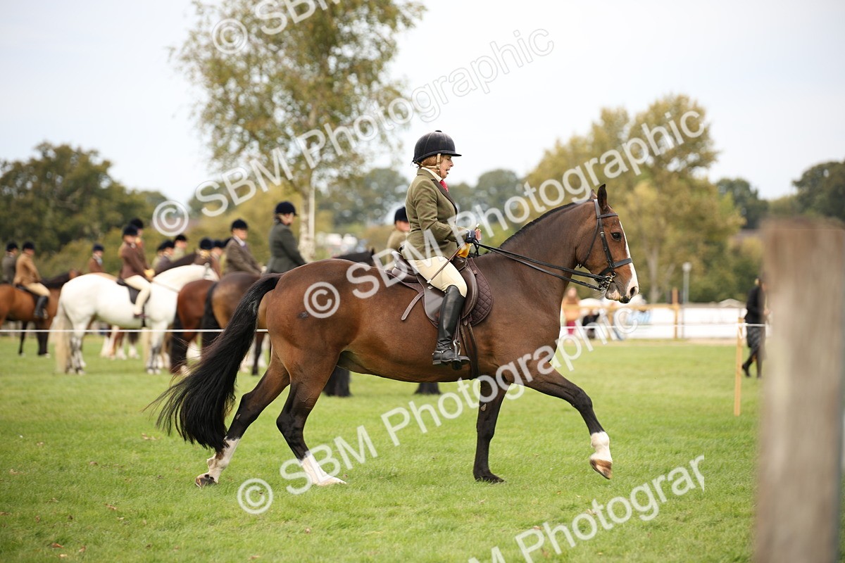 SBM_72417 - S67 - Show Cob Ridden
