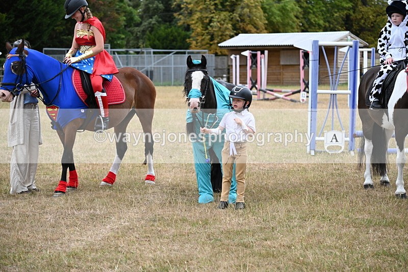 WJ6_9079 - Class 11 Fancy Dress
