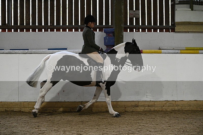 WJ7_3831 - Class 17 Ridden Cob