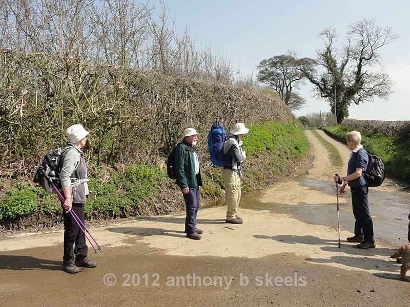 030. Checking the road to Oulston. - Third Saturday Walks Collection Two.