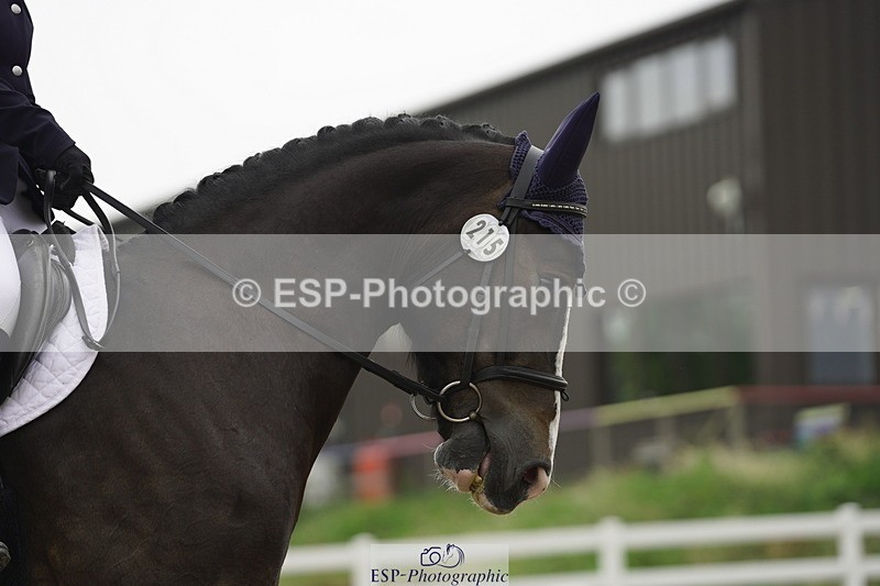 230708A-112304-00936 - Novice 30