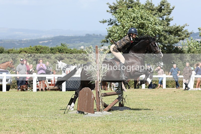 JPP_2218 - Class 19: Working Hunter 60cm