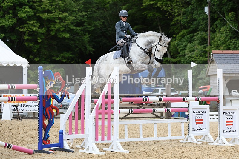 3E7A7537 - Class 8: Senior Foxhunter/1.20 open