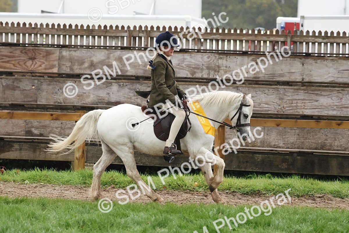 SBM_73122 - Ridden Pony Supreme Championship