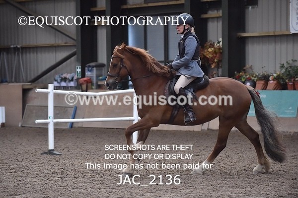 JAC_2136 - CLASS 1 Nursery Novice Working Hunter