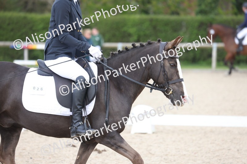 20260404-0439 - Class 3 - Prelim 1