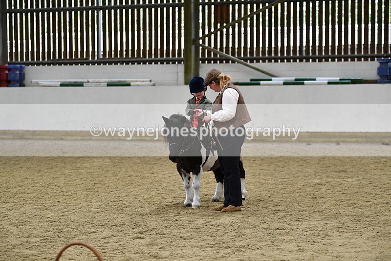 WJ5_7105 - Class 10 Childs Pony