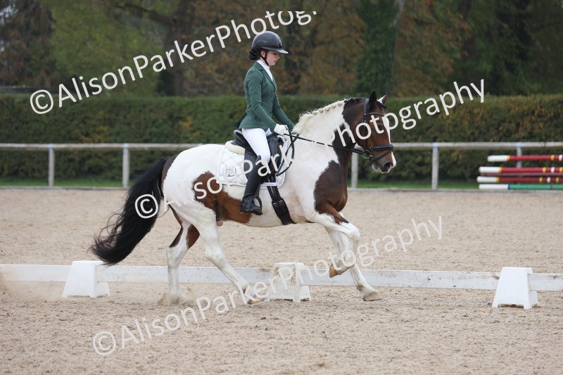 20251012-0593 - Class 5 - Elementary 5