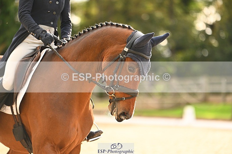 231021-154221-21190 - 365-ITAREUSO-Louisa.Lockwood-DR