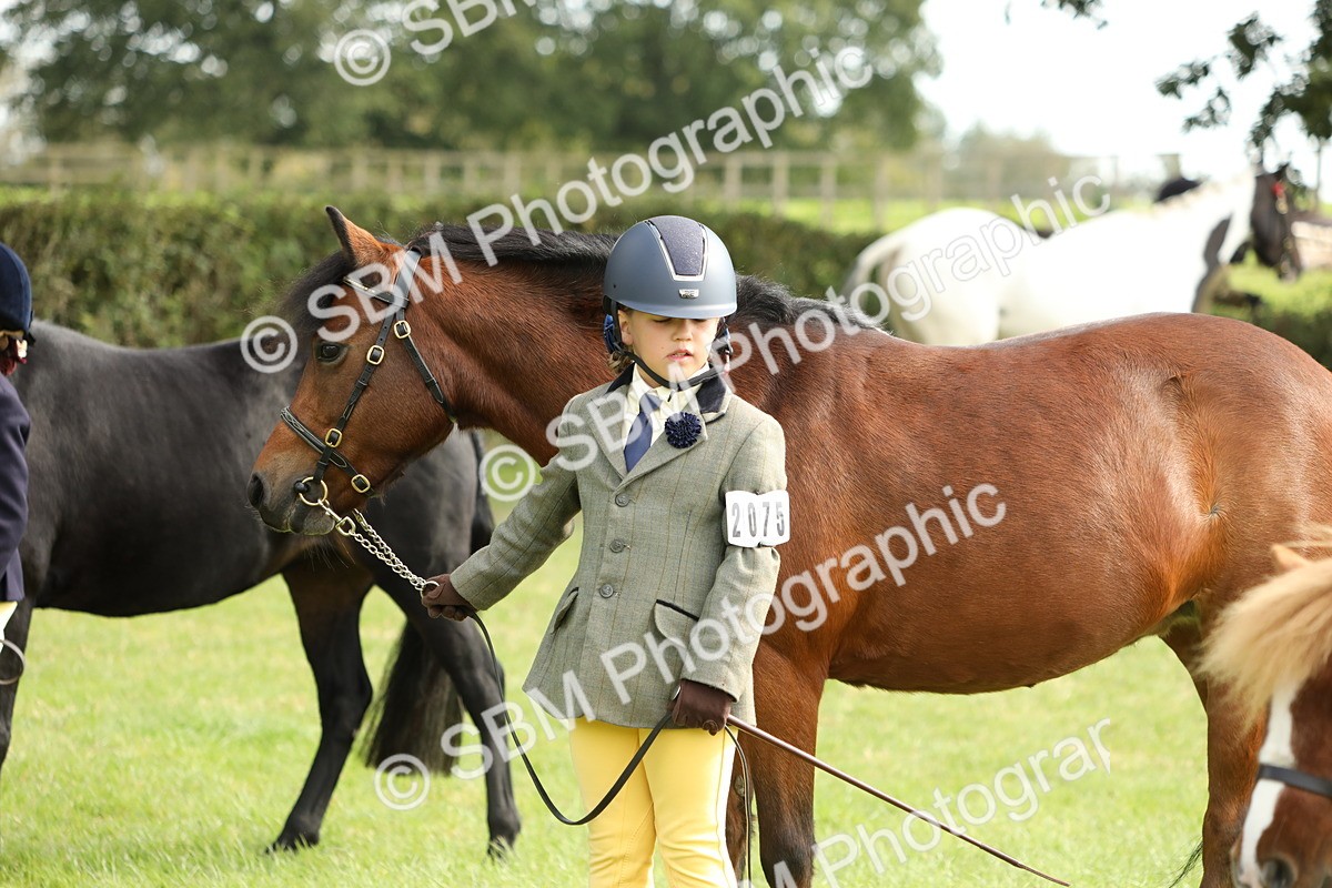 SBM_68547 - S40 - Junior Handler 9-12 Years