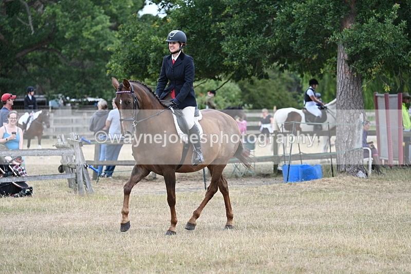 WJ7_0853 - Class 7 Riding Club Show Horse