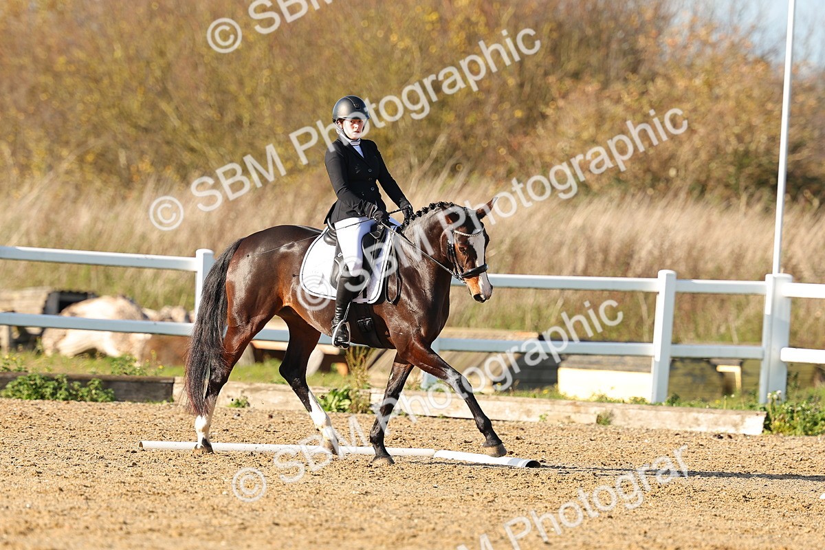 SBM_001502 - Medium 3