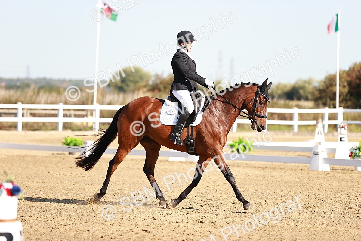 SBM_004262 - Class 12 - Novice 5 - 9.07-10.10