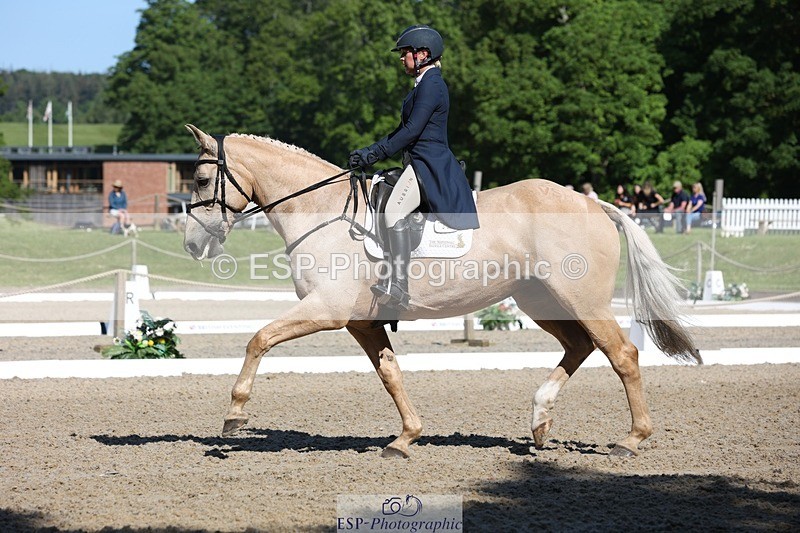 230526-093454-05104 - 356-THE_DUMB_BLONDE-Kat_Raybould-WEDTrotUp+DR