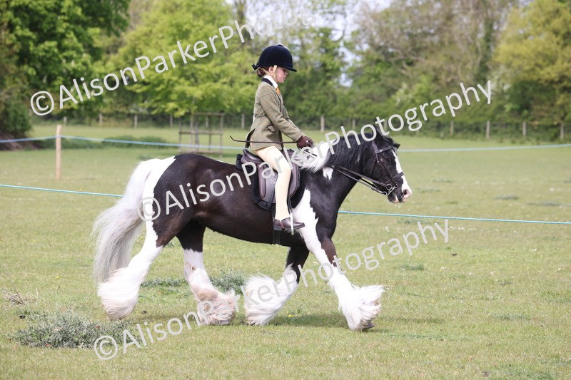 20260426-2943 - Class 33 - Best Pony 14.2hh and Under