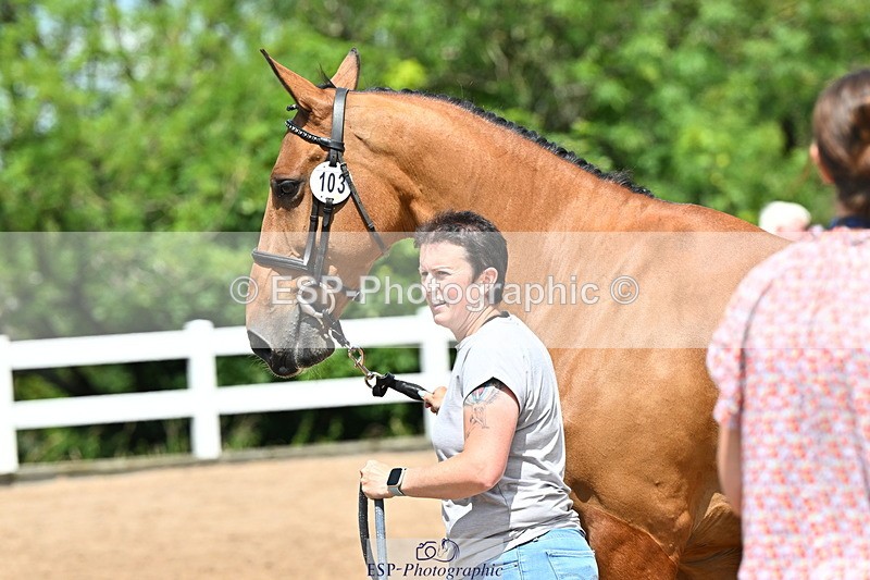 240718A-105300-01431 - Trot Up 12pm to 1pm