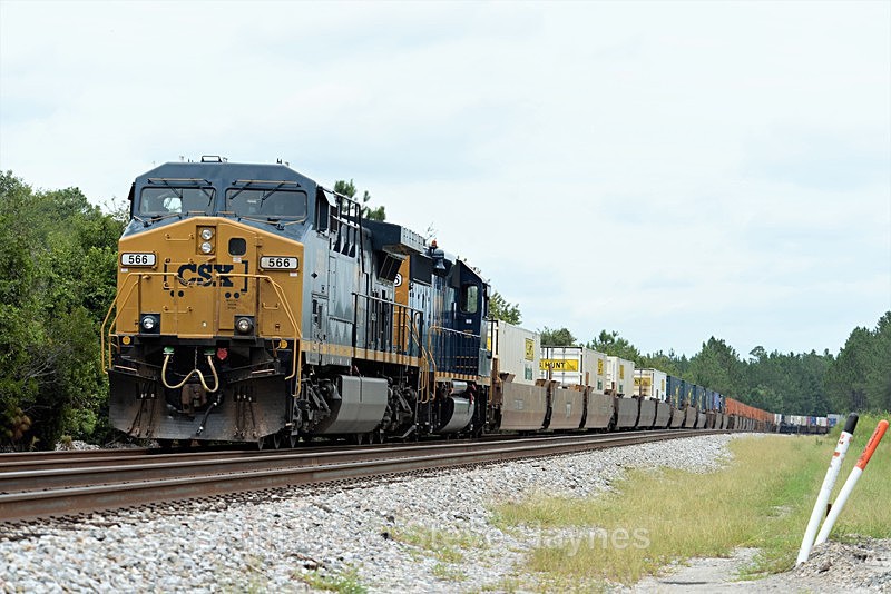 9th Aug 2017 - Folkston Funnel, GA