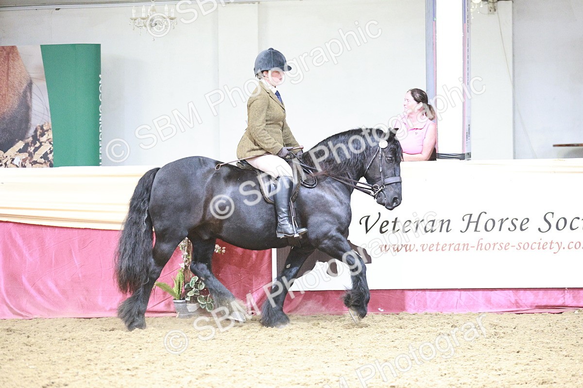 SBM_08805 - Class 12R - Regional Ridden Pre-Vet