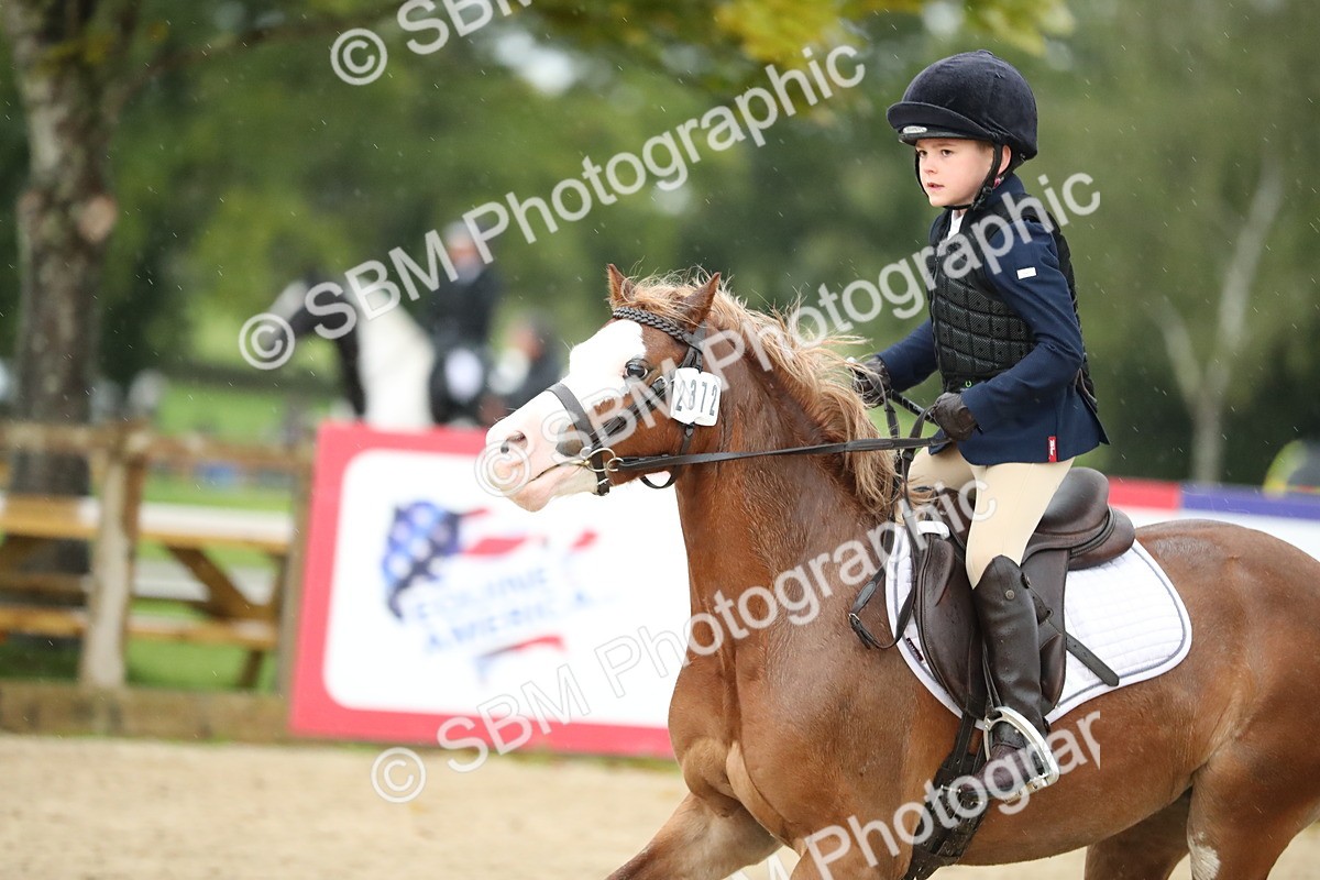 SBM_34525 - J60 Clear Round 50cm