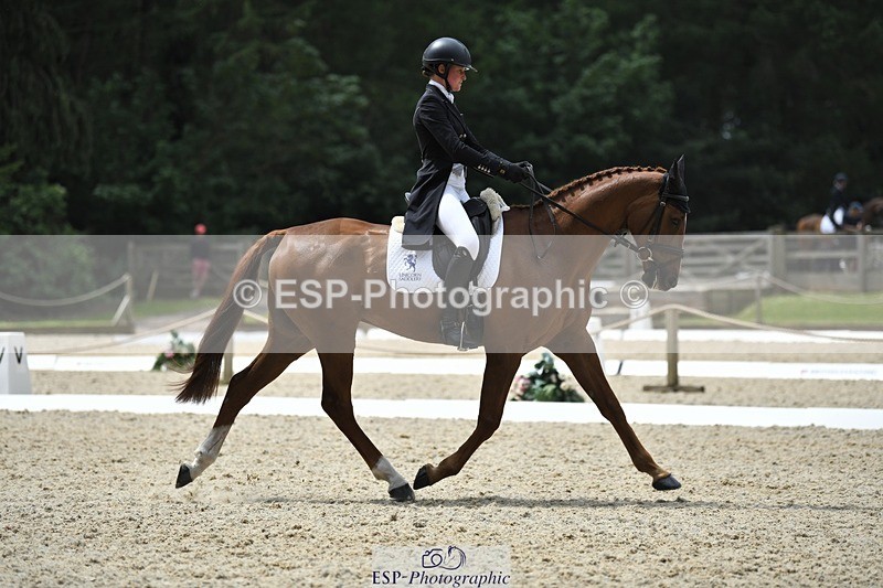 230525-130051-02077 - 113-I'M_A_WONDER-Rosie_Fry-WEDTrotUp+DR