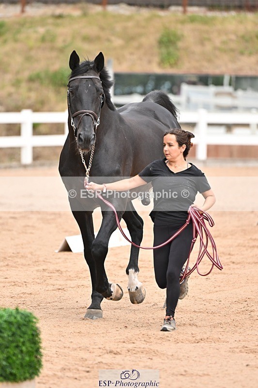 250716-150938-01703 - Trot Up 2.30 to 3.30