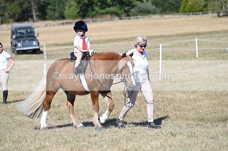 WJ7_2072 - Class 44 Child's Best Friend