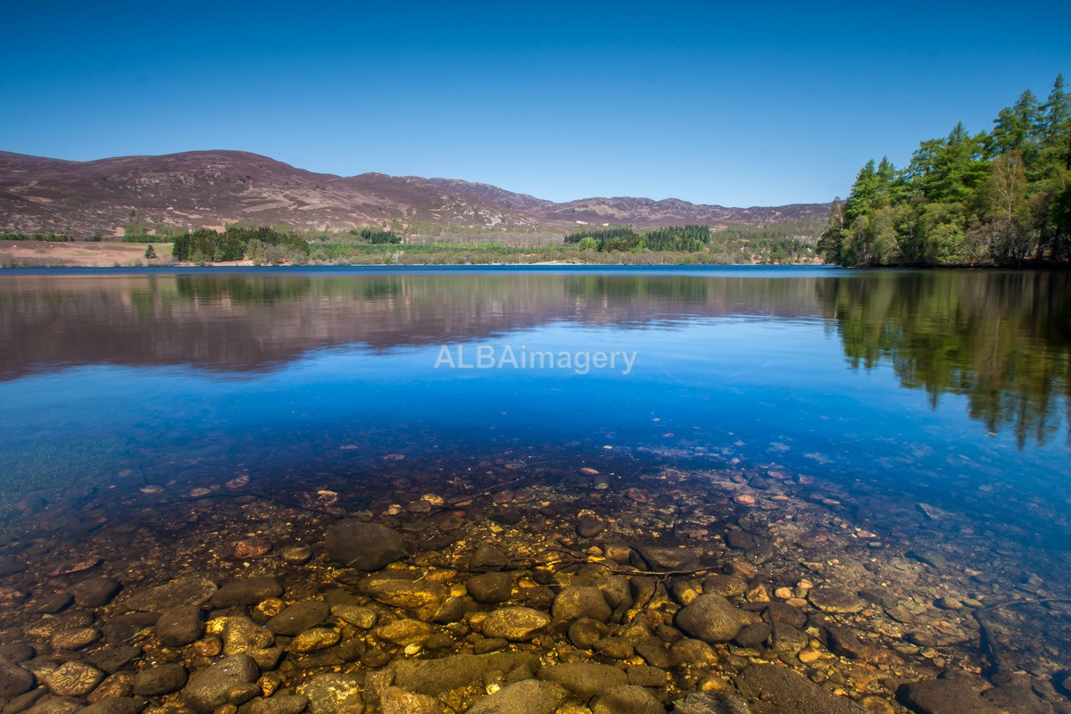 Loch Alvie - My Scotland - The Landscapes